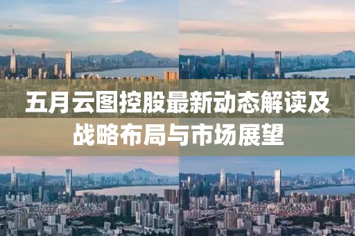 五月云图控股最新动态解读及战略布局与市场展望