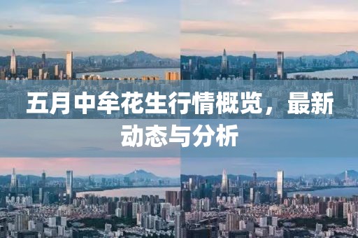 五月中牟花生行情概览，最新动态与分析