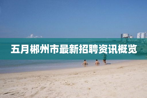 五月郴州市最新招聘资讯概览