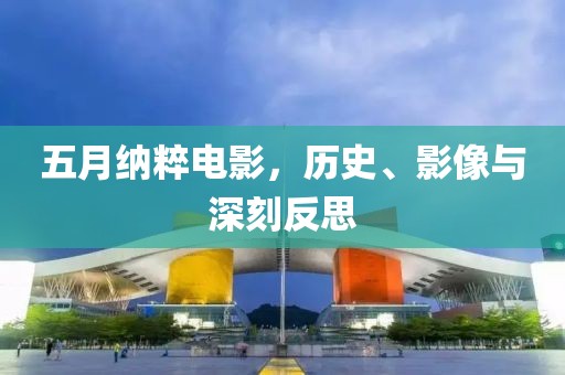 五月纳粹电影，历史、影像与深刻反思