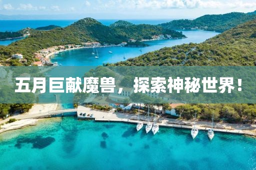 五月巨献魔兽，探索神秘世界！