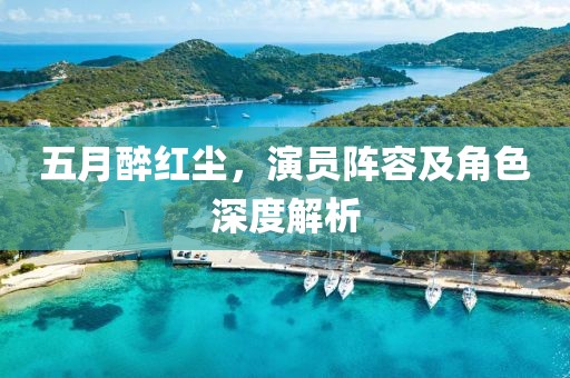 五月醉红尘，演员阵容及角色深度解析