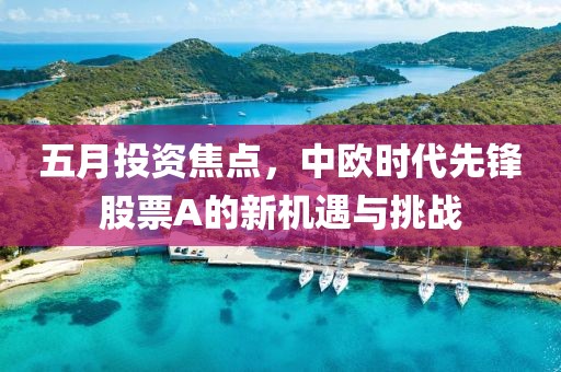 五月投资焦点，中欧时代先锋股票A的新机遇与挑战
