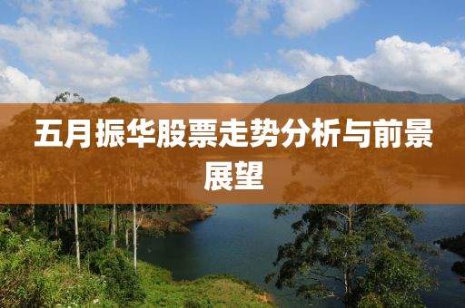 五月振华股票走势分析与前景展望