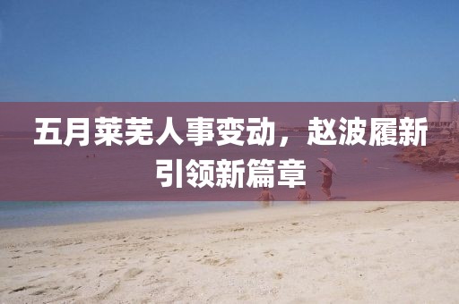 五月莱芜人事变动，赵波履新引领新篇章