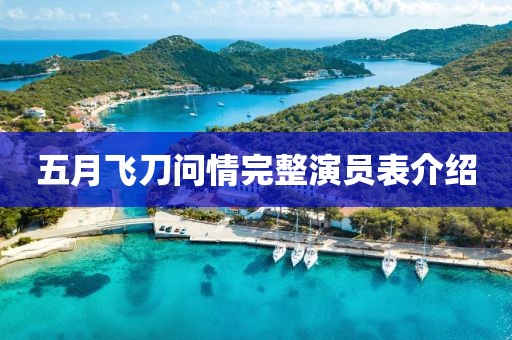 五月飞刀问情完整演员表介绍