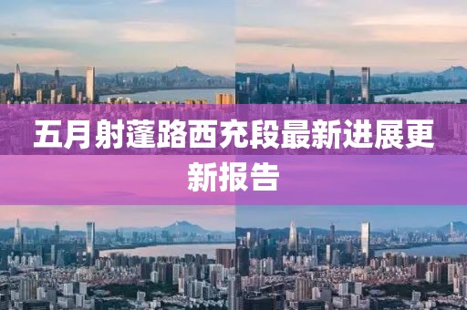 五月射蓬路西充段最新进展更新报告