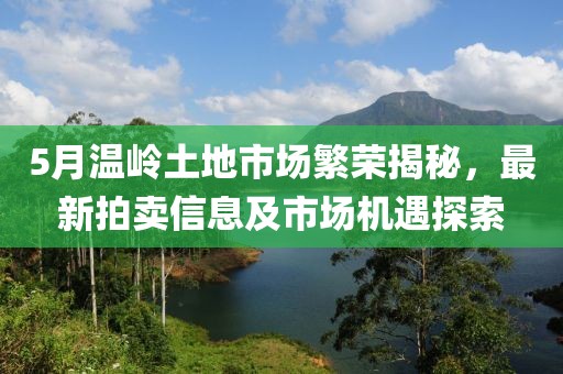 5月温岭土地市场繁荣揭秘，最新拍卖信息及市场机遇探索