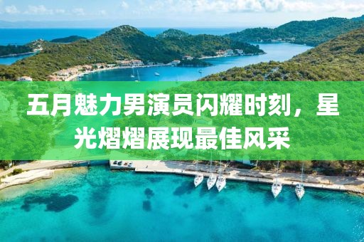 五月魅力男演员闪耀时刻，星光熠熠展现最佳风采