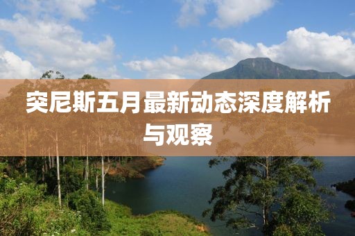 突尼斯五月最新动态深度解析与观察