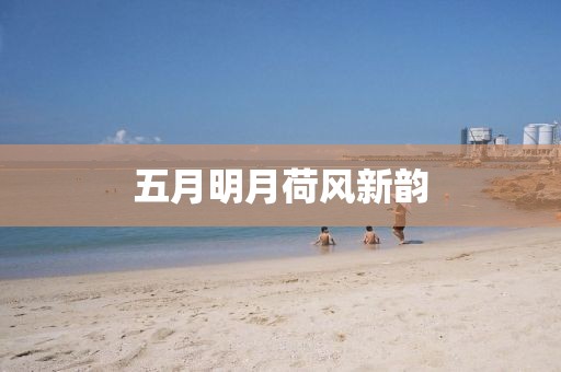 五月明月荷风新韵