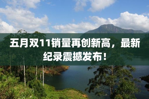 五月双11销量再创新高，最新纪录震撼发布！