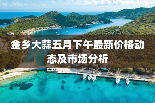 金乡大蒜五月下午最新价格动态及市场分析