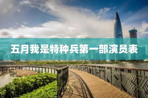 五月我是特种兵第一部演员表