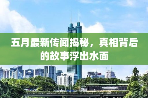 五月最新传闻揭秘，真相背后的故事浮出水面