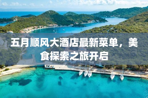 五月顺风大酒店最新菜单，美食探索之旅开启