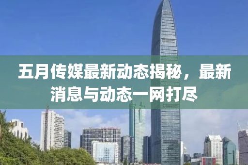 五月传媒最新动态揭秘，最新消息与动态一网打尽