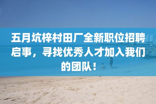 五月坑梓村田厂全新职位招聘启事，寻找优秀人才加入我们的团队！