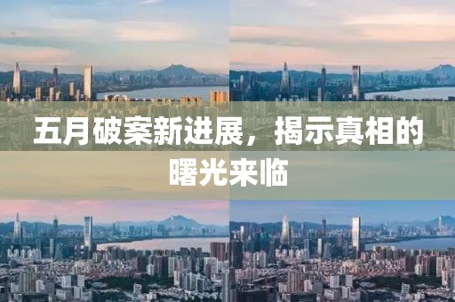 五月破案新进展，揭示真相的曙光来临