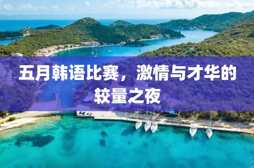 五月韩语比赛，激情与才华的较量之夜