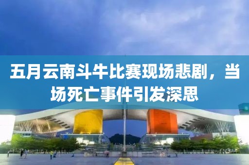 五月云南斗牛比赛现场悲剧，当场死亡事件引发深思