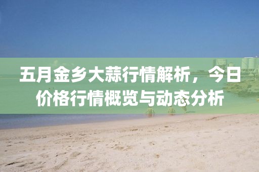 五月金乡大蒜行情解析，今日价格行情概览与动态分析