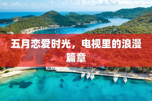 五月恋爱时光，电视里的浪漫篇章