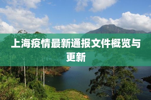 上海疫情最新通报文件概览与更新