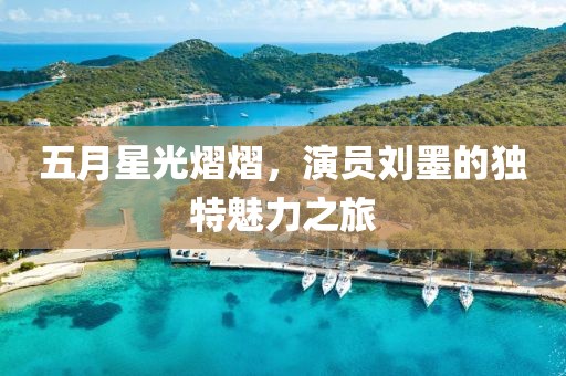 五月星光熠熠，演员刘墨的独特魅力之旅