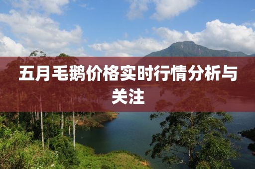 五月毛鹅价格实时行情分析与关注