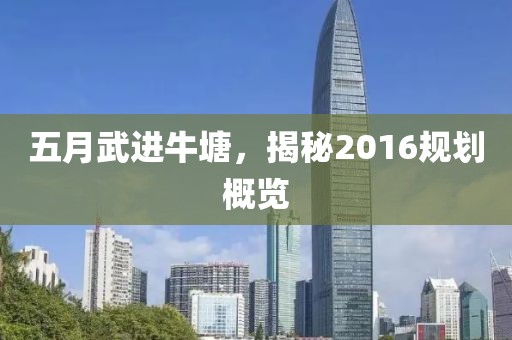 五月武进牛塘，揭秘2016规划概览