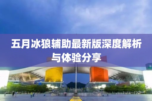 五月冰狼辅助最新版深度解析与体验分享