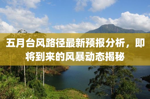 五月台风路径最新预报分析，即将到来的风暴动态揭秘
