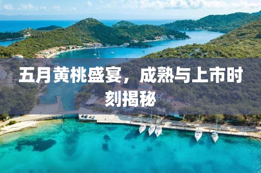 五月黄桃盛宴，成熟与上市时刻揭秘
