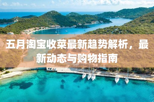 五月淘宝收菜最新趋势解析，最新动态与购物指南