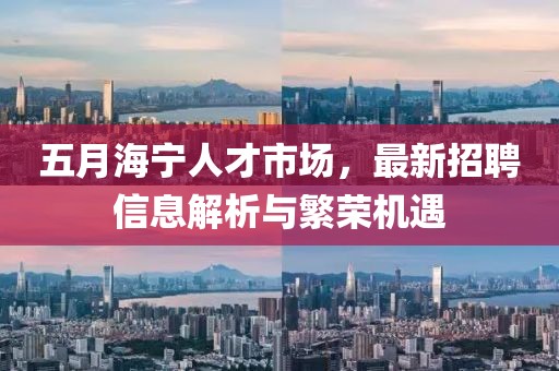 五月海宁人才市场，最新招聘信息解析与繁荣机遇