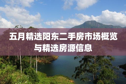 五月精选阳东二手房市场概览与精选房源信息
