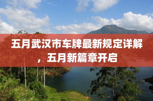 五月武汉市车牌最新规定详解，五月新篇章开启