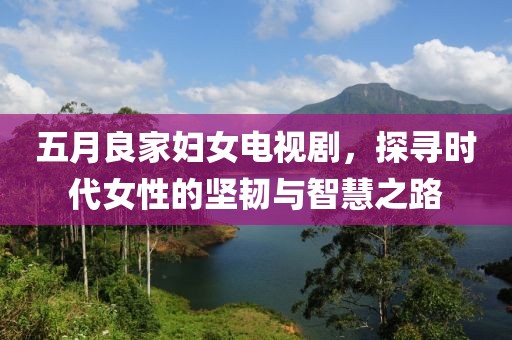 五月良家妇女电视剧，探寻时代女性的坚韧与智慧之路