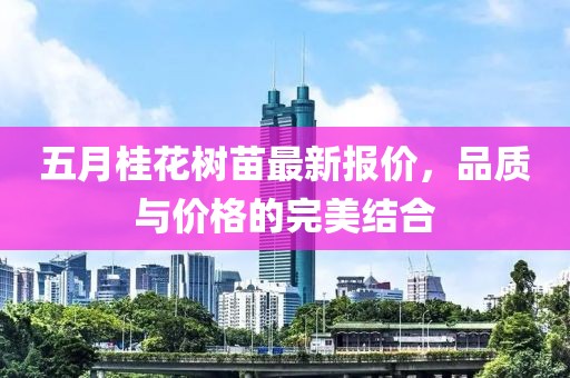 五月桂花树苗最新报价，品质与价格的完美结合