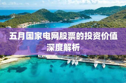 五月国家电网股票的投资价值深度解析