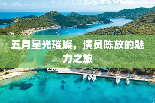 五月星光璀璨，演员陈放的魅力之旅