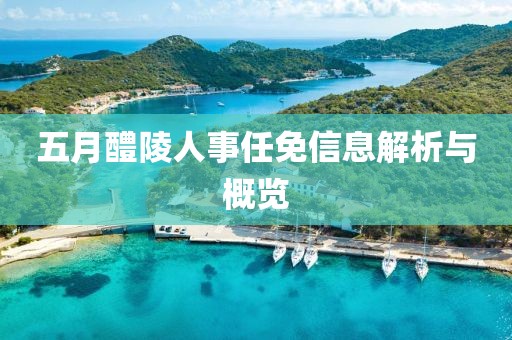 五月醴陵人事任免信息解析与概览