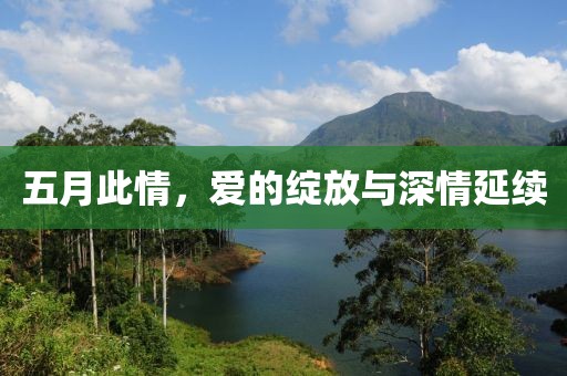 五月此情，爱的绽放与深情延续