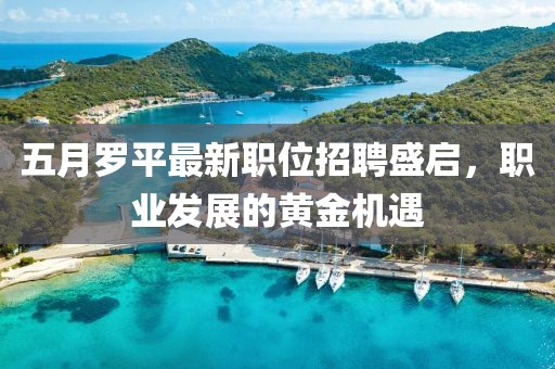 五月罗平最新职位招聘盛启，职业发展的黄金机遇