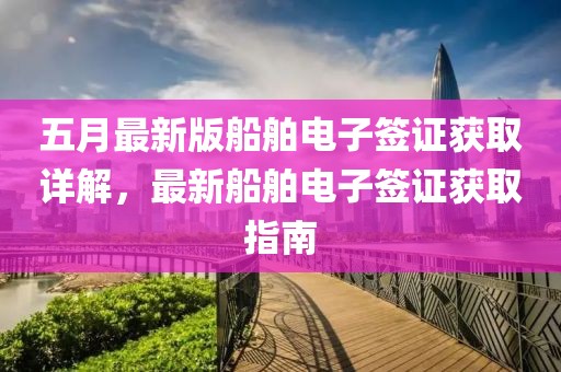 五月最新版船舶电子签证获取详解，最新船舶电子签证获取指南