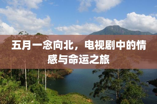 五月一念向北，电视剧中的情感与命运之旅