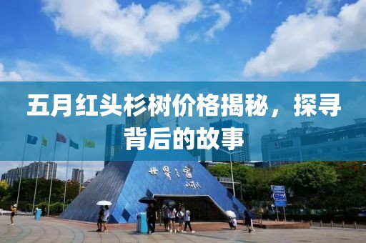 五月红头杉树价格揭秘，探寻背后的故事