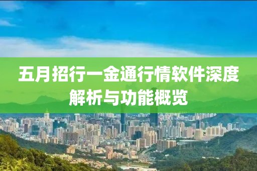 五月招行一金通行情软件深度解析与功能概览
