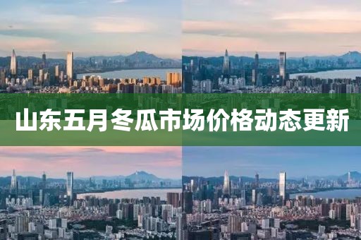 山东五月冬瓜市场价格动态更新